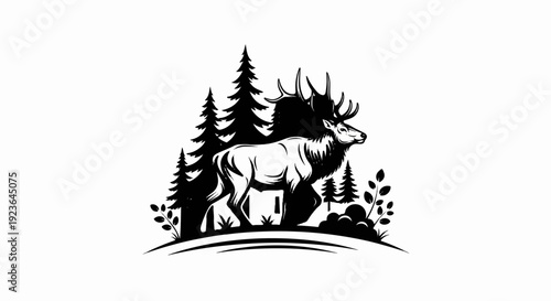 Majestic stag with large antlers walks through a forest of pine trees