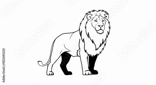 Majestic lion with dark legs, looking alert