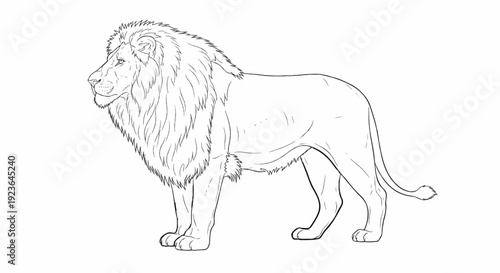 Line art sketch of a regal male lion with a magnificent mane