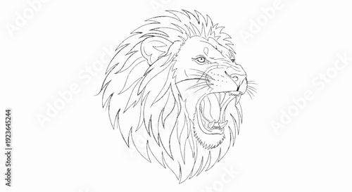 Line art sketch of a roaring lion's head with a full mane