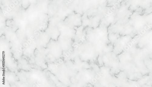 White marble texture with gray veins