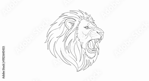 Line art roaring lion head with a magnificent mane, white background