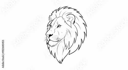 Majestic lion head in profile, detailed sketch with flowing mane