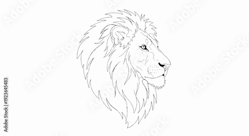 Line art profile of a majestic lion head with a full, flowing mane