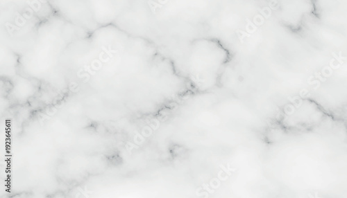 White marble texture with grey veins background