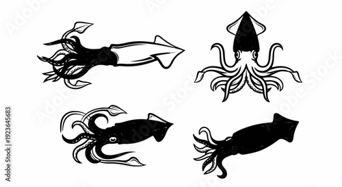 Four black and white illustrations of squids in various poses and perspectives
