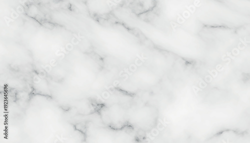 White marble texture with grey veins