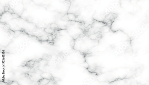 White marble texture with grey veins
