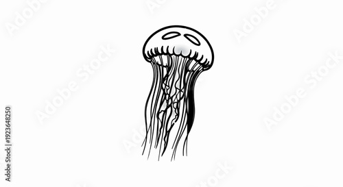 Hand-drawn illustration of a jellyfish with flowing tentacles