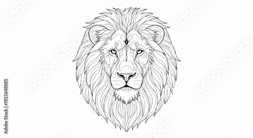 Intricate line art of a majestic lion's head with a flowing mane