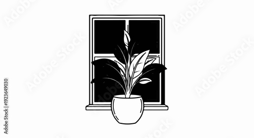 Houseplant in a pot sits on a windowsill in front of a dark window