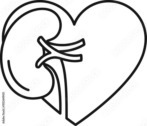 Outline icon representing the critical link between the heart and the kidney organs symbolizing cardiovascular renal health awareness and medical treatment concepts