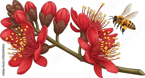 A colorful illustration of a bee flying towards red flowers on a branch