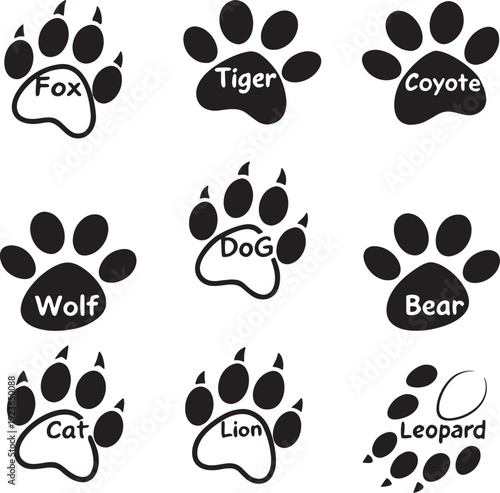 paw prints vector