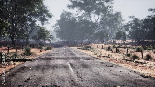 Fotografie A solitary road cuts through the Australian outback, surrounded by sparse vegetation and towering eucalyptus trees