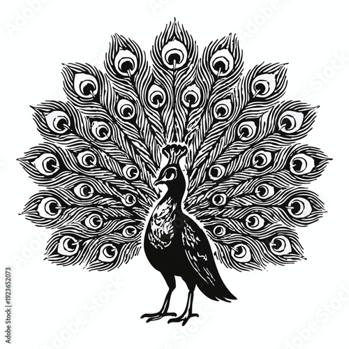 Minimalist icon representing a vector file format