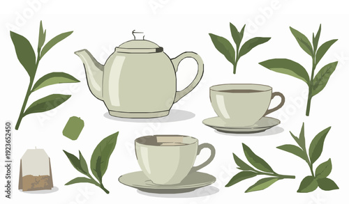 Green Tea Set with Ceramic Cup, Teapot and Fresh Leaves Big Vector Collection