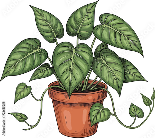 a beautiful art of green plant in a pot uniqueness and a real art work