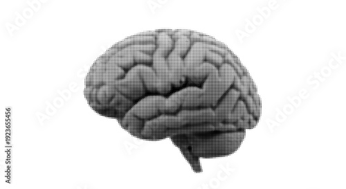 Halftone Human Brain Realistic Side View Vector Illustration Isolated on White Background
