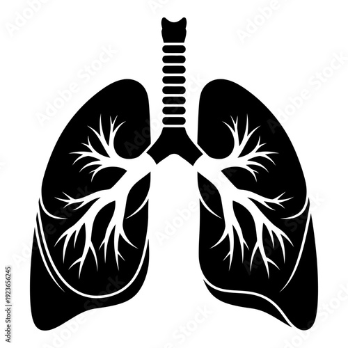 Human lungs anatomical illustration showing respiratory system structure as a black silhouette icon