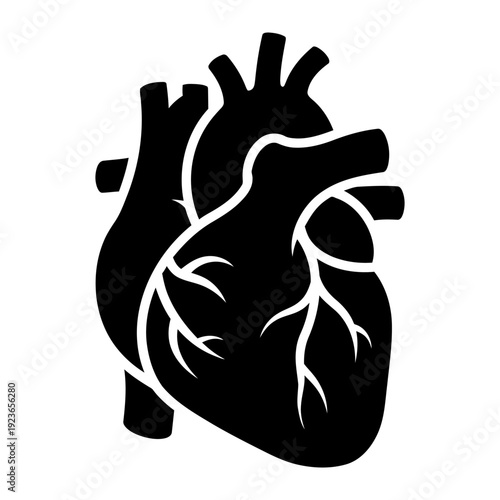 Human heart anatomical icon for medical and healthcare design, black silhouette vector
