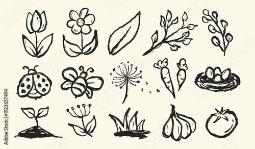 Spring season doodle collection. Abstract ink spring floral botany vector elements. Spring scribble hand drawn illustration set containing flowers, leaves, insects, vegetables, eggs, dandelion.