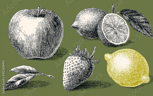 A detailed illustration of various fruits and leaves on a green background