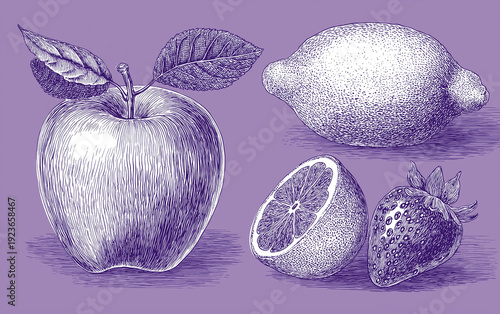 A purple illustration of fresh fruits including an apple, lemon, orange, and strawberry.