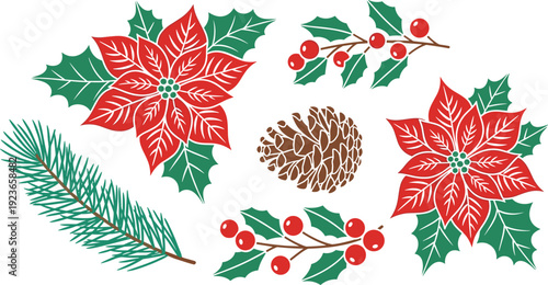 Christmas poinsettia holly berries and pine branch vector illustration set isolated background

Keywords: