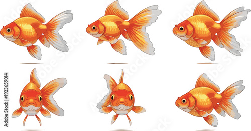 Realistic Goldfish Aquarium Fish Collection with Swimming Side and Front View Ornamental Freshwater Pet Detailed Vector Illustration Set Police Stop