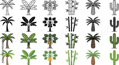 Plant Tropical and Desert Trees Like Coconut Banana Papaya and Bamboo Four Style Icons