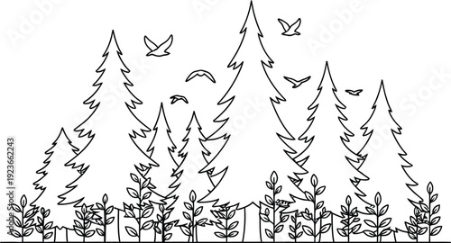 Minimalist black and white outline drawing depicts a serene forest landscape featuring several tall pine trees and small foreground foliage with birds flying above.