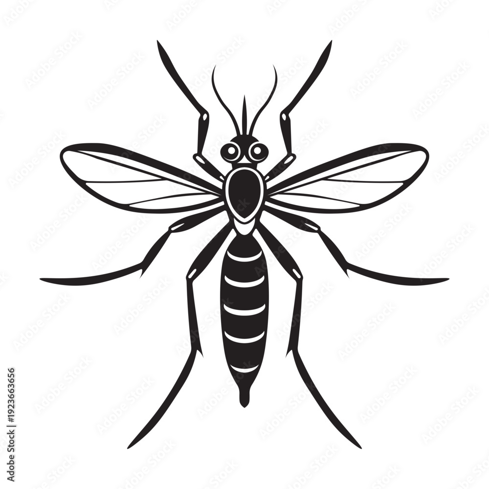 Fototapeta premium Aedes aegypti mosquito