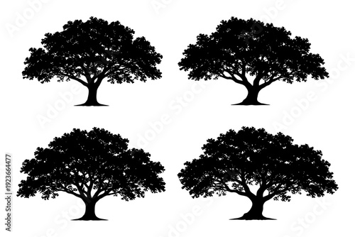 Silhouette collection of four oak trees on white background.