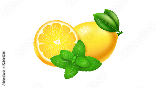 Realistic Vector Illustration of a Fresh Lemon Whole and Slice with Mint Leaves Isolated on White Background