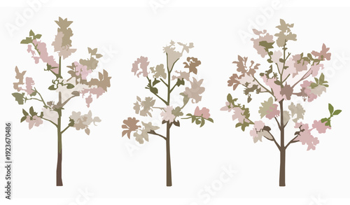 Malus micromalus Kaido Crab Apple Trees Vector with Spring Blossoms and Ornamental Foliage