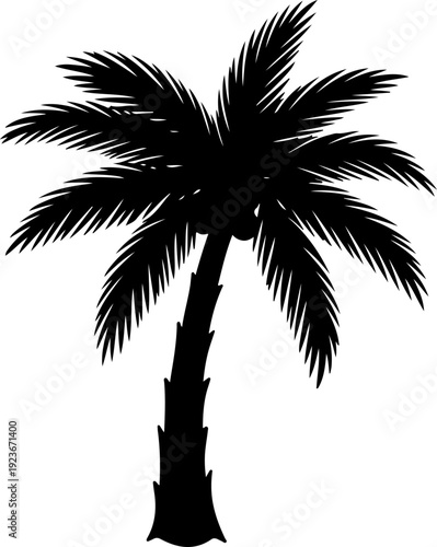palm tree silhouette vector illustration