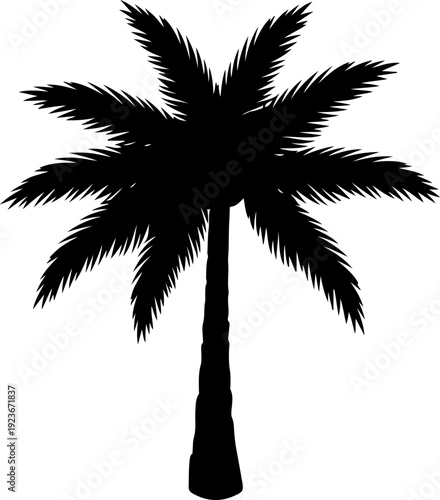 palm tree silhouette vector illustration