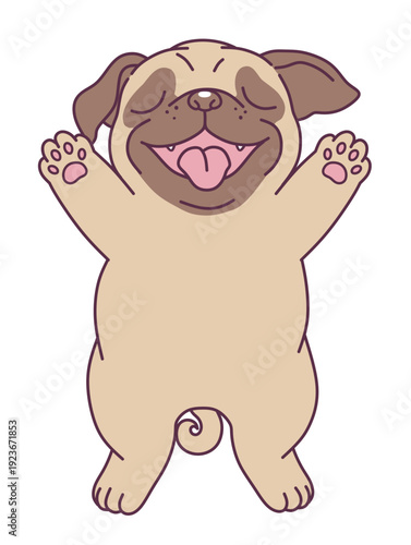 Cute cartoon pug puppy lying on its back. Vector illustration.