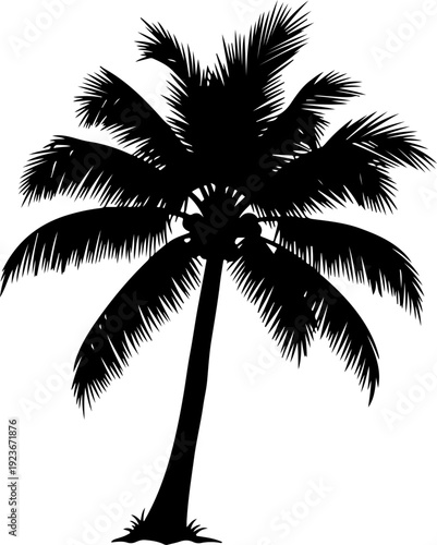 palm tree silhouette vector illustration
