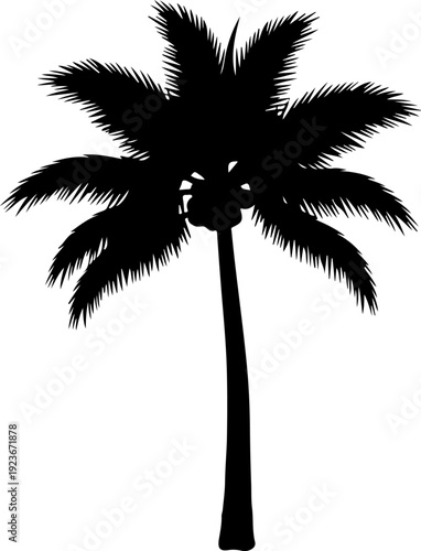 palm tree silhouette vector illustration