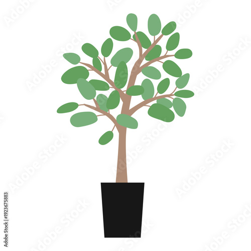 観葉植物のイラスト