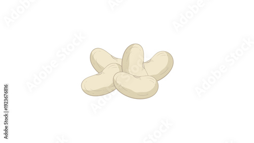 Small Pile of Dried White Navy Beans Isolated on White Background