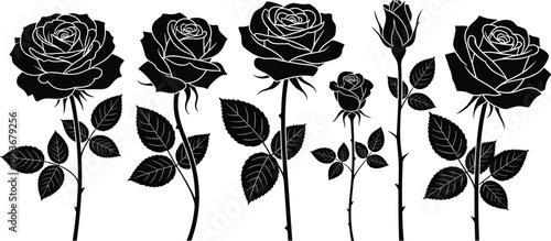 Rose flower silhouettes collection blooming roses botanical floral nature garden plant isolated vector illustration decorative set