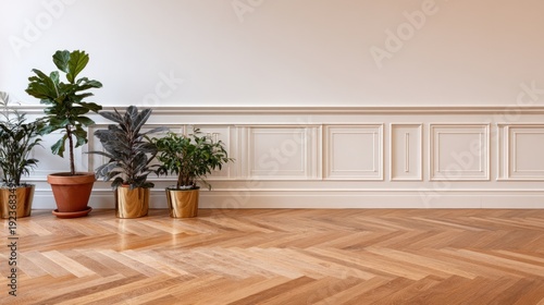 Interior design with potted plants against a white wall and wooden floor