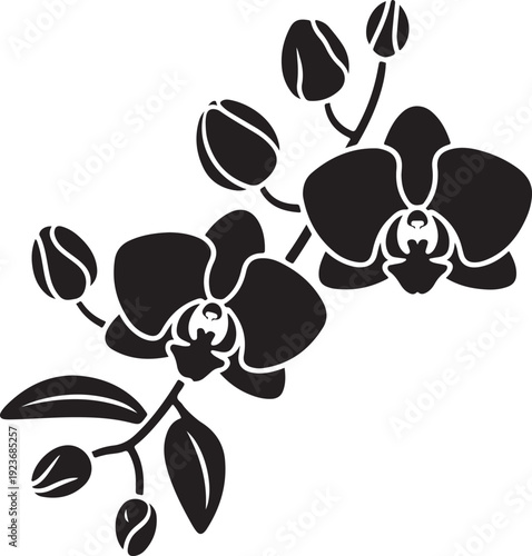 A detailed black silhouette of an elegant orchid branch with multiple blossoms and unopened buds