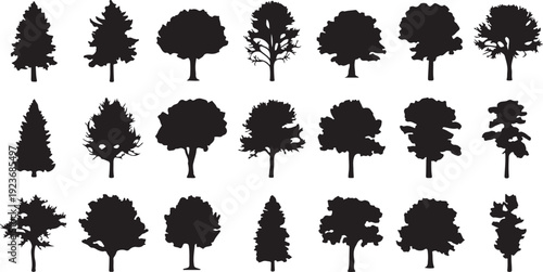 silhouette tree line drawing set, Side view, set of graphics trees elements outline symbol for architecture and landscape design drawing. Vector illustration in stroke fill in white. ...