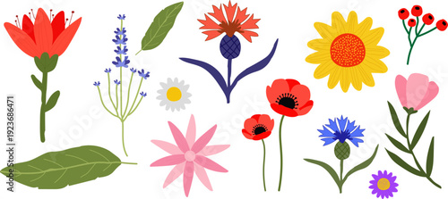 Colorful spring floral vector set with tulip, lavender, sunflower, cornflower, blossom, leaves berries, flat hand drawn illustration. Suitable for March 8, Mother's Day, Easter, holidays Collection.