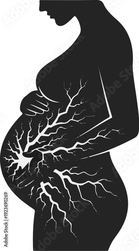 Silhouette of pregnant woman with internal branching circulatory system
