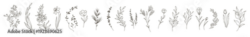 Floral botanical line art set. Trendy elegant thin flowers, branches, leaves, herbs. Vector hand drawn illustration for logo or tattoo, wedding invitation, save the date card 